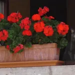 La Montanesa Appartement Posada De Llanes