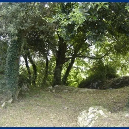 La Montanesa Daire